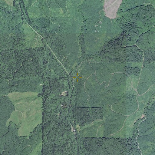 Aerial/Satellite Image of Panther Creek, OR