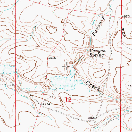 Topographic Map of Parsnip Creek, OR