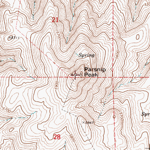 Topographic Map of Parsnip Peak, OR