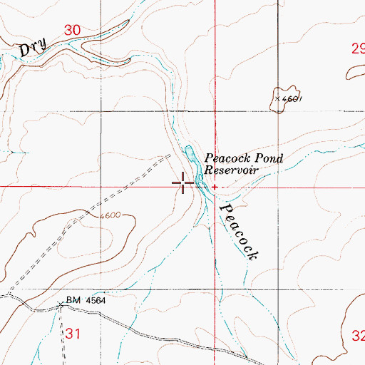 Topographic Map of Peacock Pond Reservoir, OR