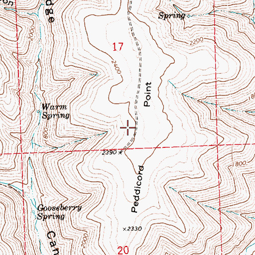 Topographic Map of Peddicord Point, OR