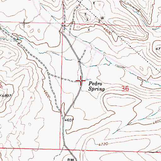 Topographic Map of Pedro Spring, OR