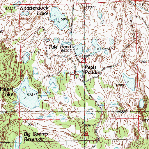 Topographic Map of Petes Puddle, OR