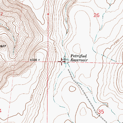 Topographic Map of Petrified Reservoir, OR
