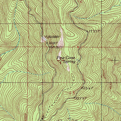 Topographic Map of Pine Cone Spring, OR