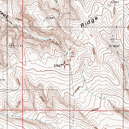 Topographic Map of Pine Tree Ridge, OR