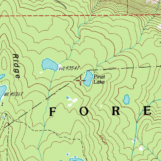Topographic Map of Pinet Lake, OR