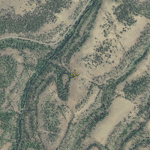 Aerial/Satellite Image of Portuguese Spring, OR