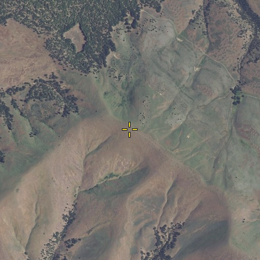 Aerial/Satellite Image of Postage Stamp Butte, OR