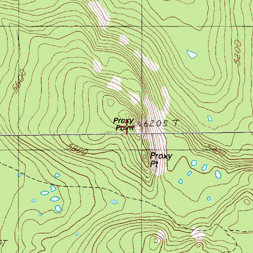 Topographic Map of Proxy Point, OR
