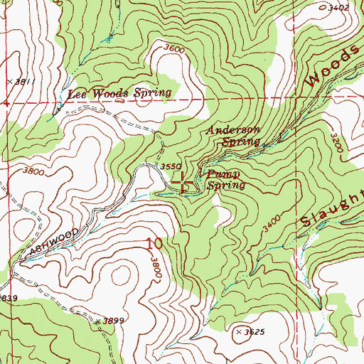 Topographic Map of Pump Spring, OR