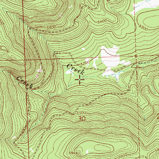 Topographic Map of Puppydog Creek, OR