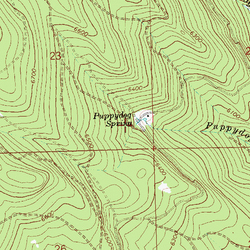 Topographic Map of Puppydog Spring, OR