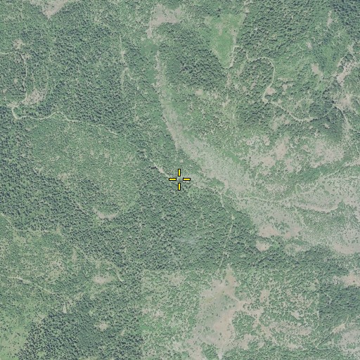 Aerial/Satellite Image of Randcore Pass, OR