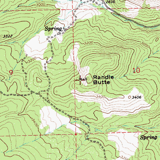 Topographic Map of Randle Butte, OR