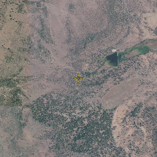 Aerial/Satellite Image of Rattlesnake Spring, OR