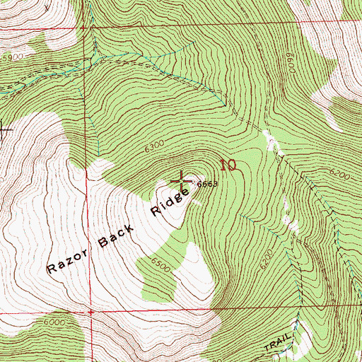 Topographic Map of Razor Back Ridge, OR