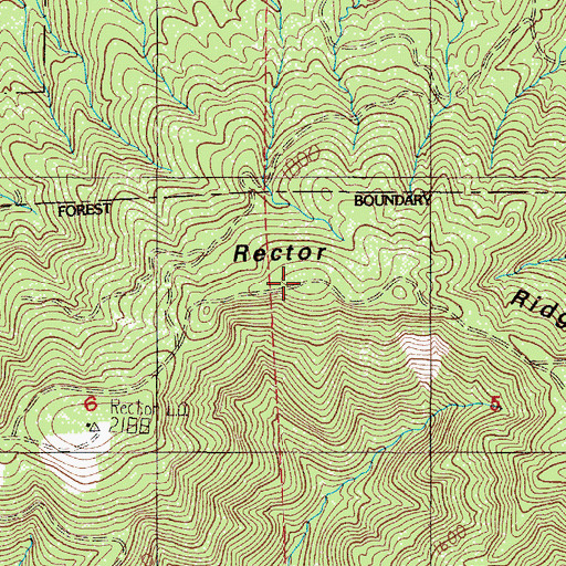 Topographic Map of Rector Ridge, OR