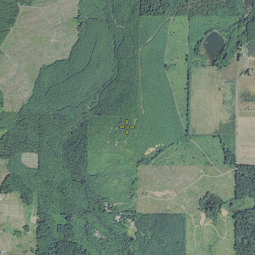 Aerial/Satellite Image of Red Slide Hill, OR