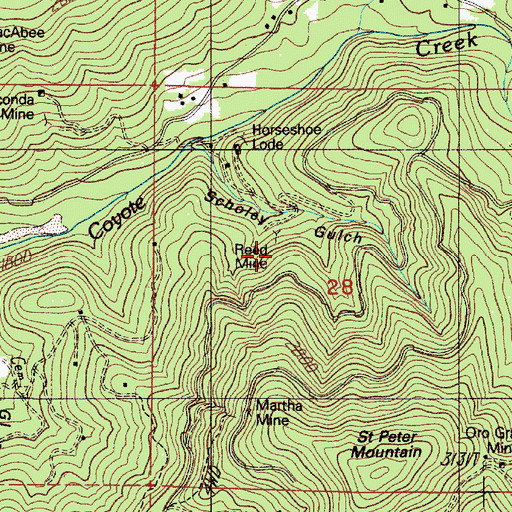 Topographic Map of Reed Mine, OR