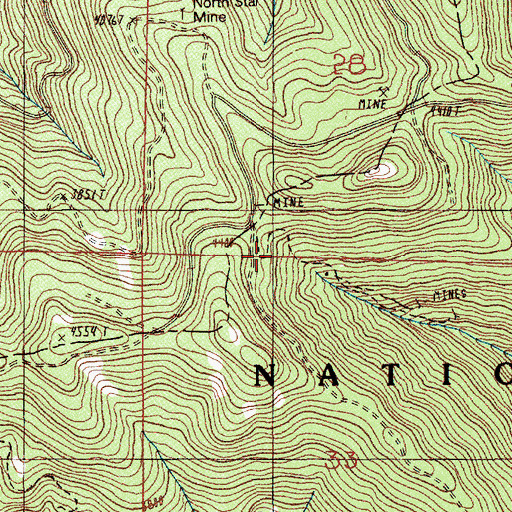 Topographic Map of Rialto Mine, OR