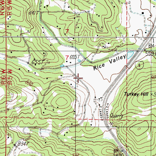Topographic Map of Rice Valley, OR