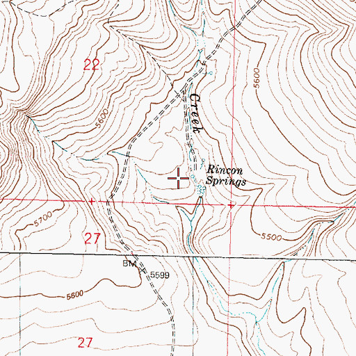 Topographic Map of Rincon Springs, OR