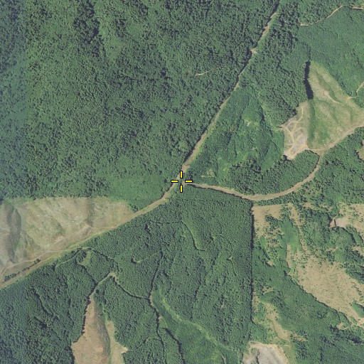 Aerial/Satellite Image of Rink Peak, OR