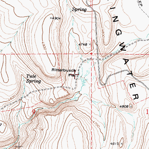 Topographic Map of Ritterbusch Flat, OR