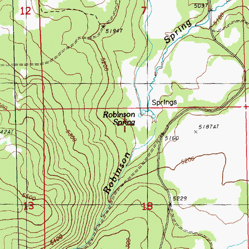 Topographic Map of Robinson Spring, OR