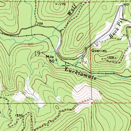 Topographic Map of Rock Pit Creek, OR