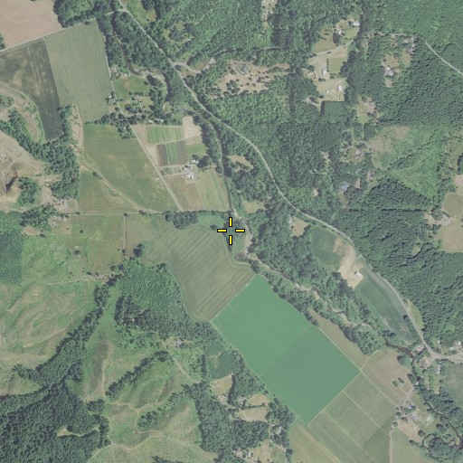 Aerial/Satellite Image of Roderick Creek, OR
