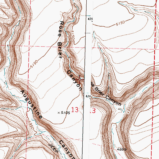 Topographic Map of Rose Brier Canyon, OR
