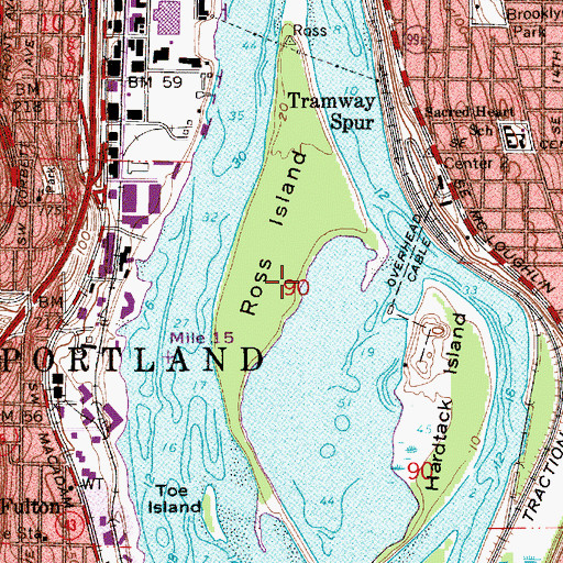 Topographic Map of Ross Island, OR