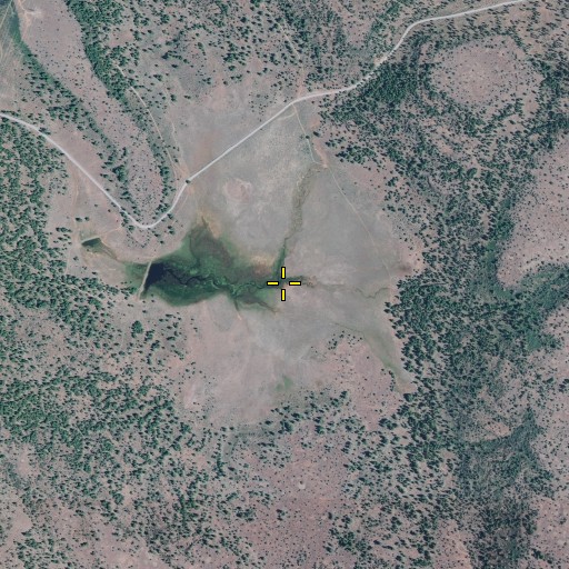Aerial/Satellite Image of Round Prairie, OR