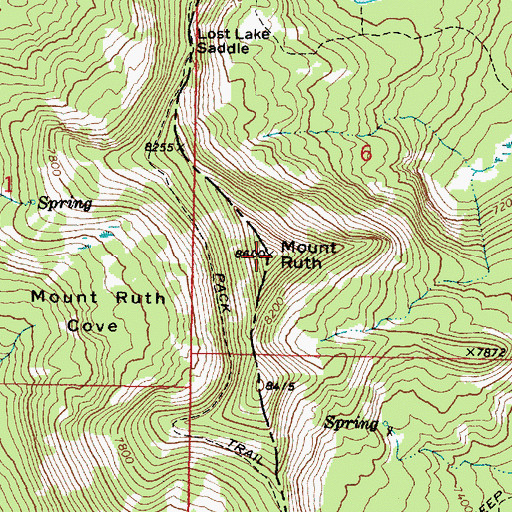Topographic Map of Mount Ruth, OR