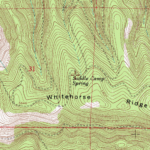 Topographic Map of Saddle Camp Spring, OR