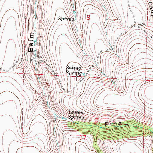 Topographic Map of Saling Spring, OR
