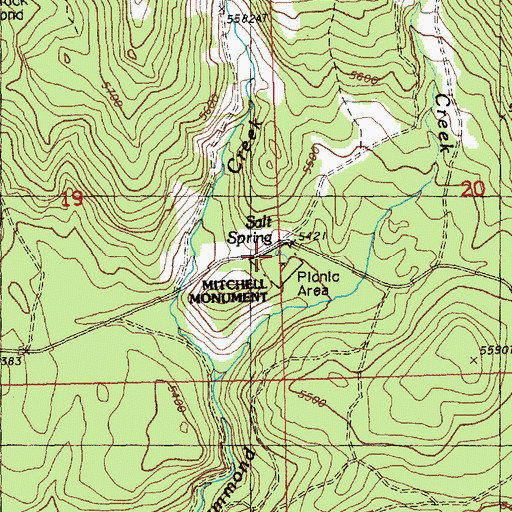 Topographic Map of Salt Spring, OR