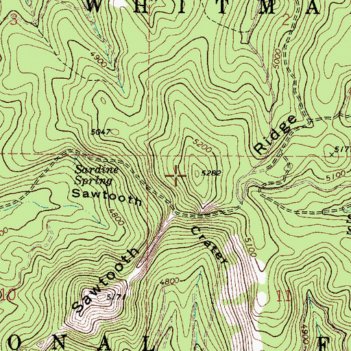 Topographic Map of Sawtooth Ridge, OR