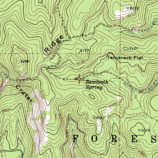 Topographic Map of Sawtooth Spring, OR