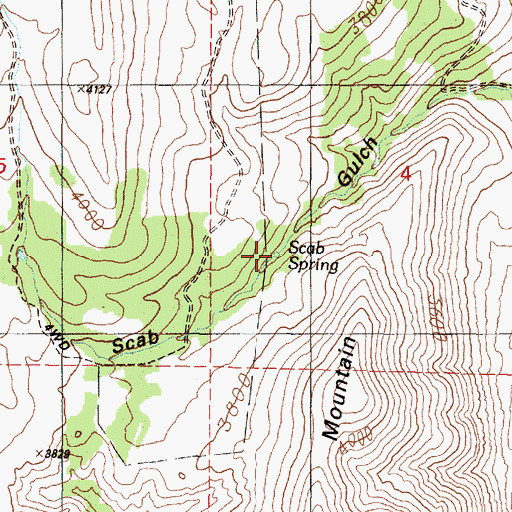 Topographic Map of Scab Spring, OR