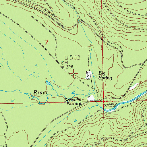 Topographic Map of Schoolie Pasture, OR