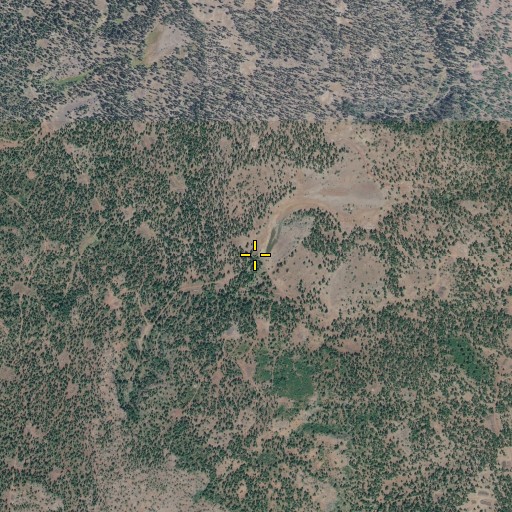 Aerial/Satellite Image of Second Sheep Camp Spring, OR