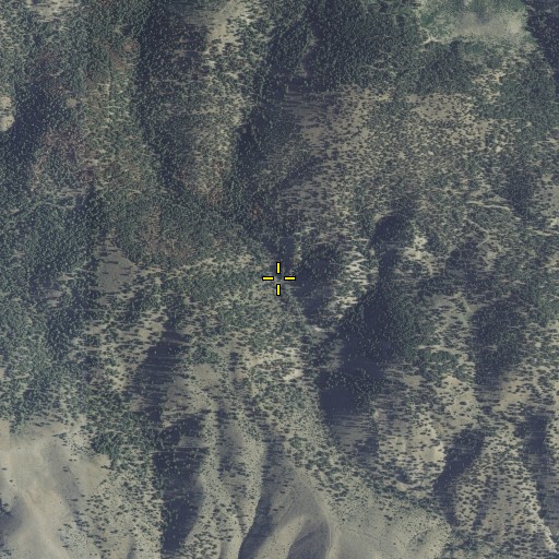Aerial/Satellite Image of Segundo Spring, OR