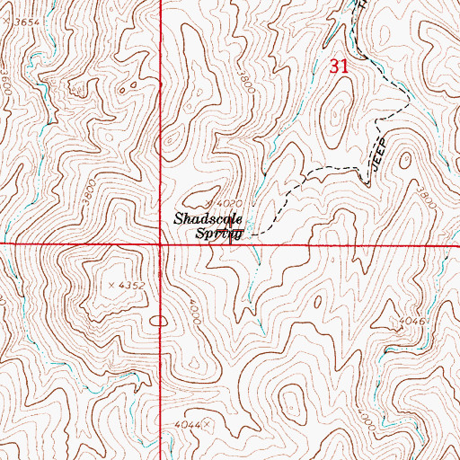 Topographic Map of Shadscale Spring, OR