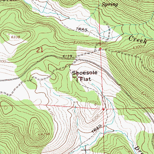 Topographic Map of Shoesole Flat, OR