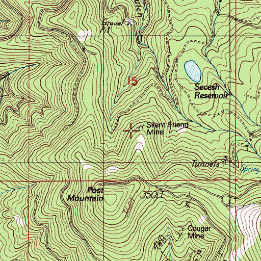 Topographic Map of Silent Friend Mine, OR