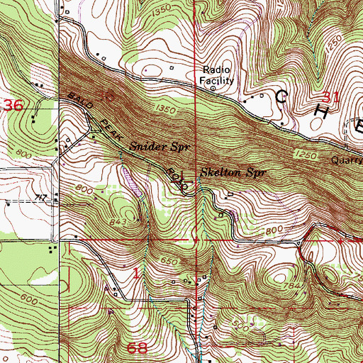 Topographic Map of Skelton Spring, OR