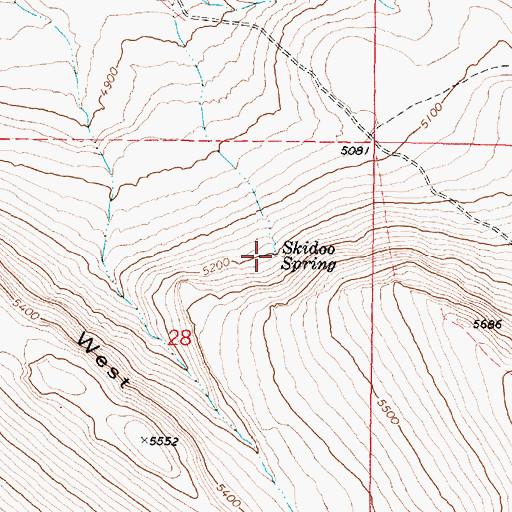 Topographic Map of Skidoo Spring, OR